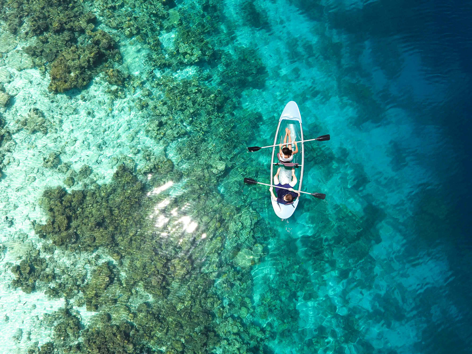 Paddle Surf