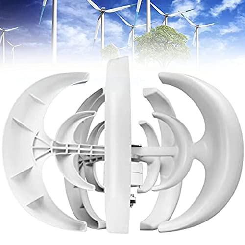 Aerogenerador 3000W Generador Viento,Turbina Eólica Vertical Kit con Controlador 5 Cuchillas Ajuste Automático De Dirección Viento,Para Barcos Terrazas Cabañas O Hogar,White-24V